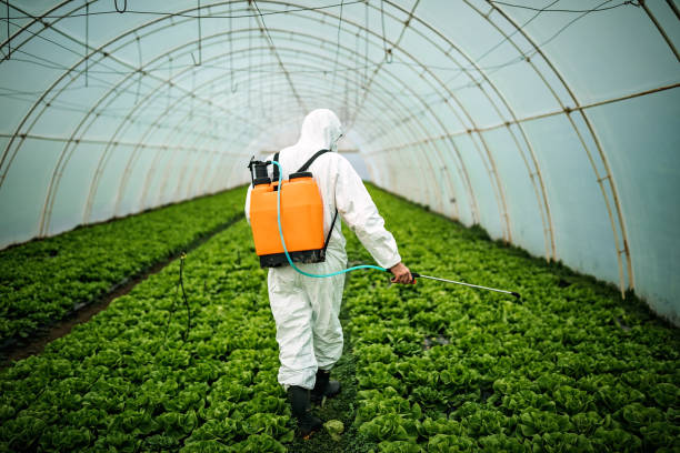 Best Commercial Pest Control Services  in Winfield, MO