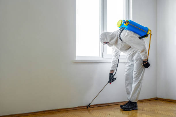 Best Affordable Pest Control Services  in Winfield, MO