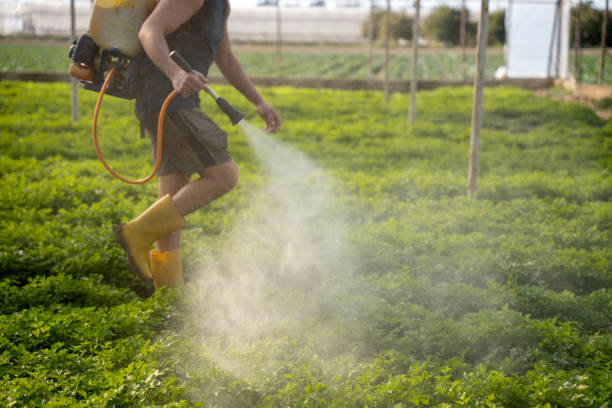 Best Pest Control Near Me in Winfield, MO