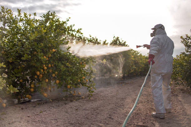 Best Commercial Pest Control Services  in Winfield, MO