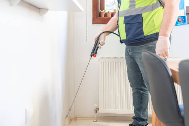 Best Ant Control Services  in Winfield, MO