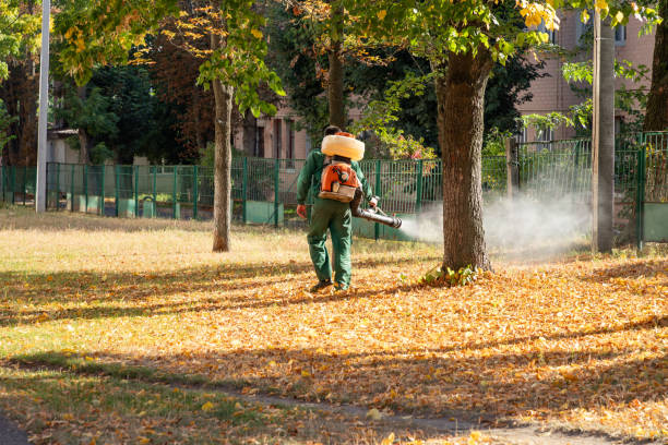 Best Mosquito Control Services  in Winfield, MO