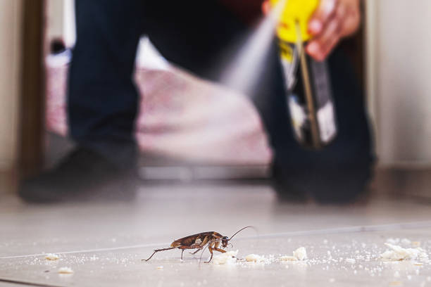 Best Pest Prevention Services  in Winfield, MO