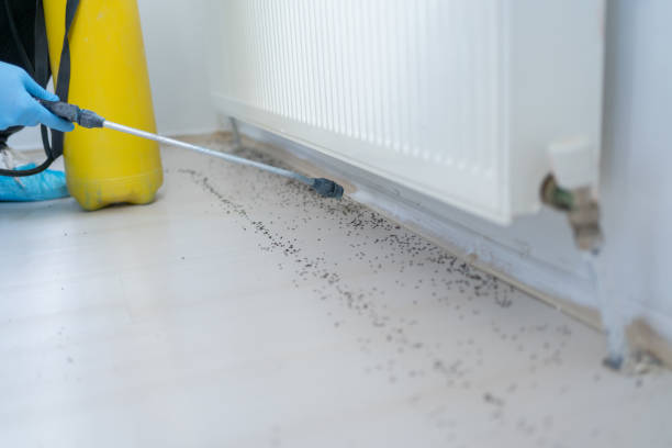 Best Wildlife Control Services  in Winfield, MO
