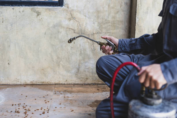 Best Rat Extermination Near Me  in Winfield, MO